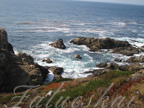 real estate, real estate broker, CAR, MCAR, monterey bay real estate, photography, web design, art, buy a home, sell a home